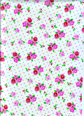 Papier wit met rode/roze roosjes