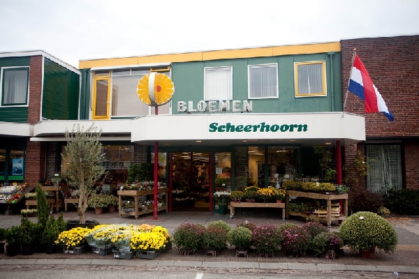 Bloemen & Plantencentrum Scheerhoorn Bloemen & Plantencentrum Scheerhoorn