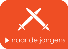 naar de jongens