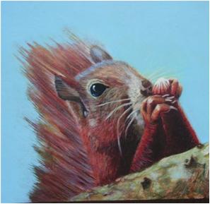 Schilderij Eekhoorn