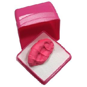 Kauwgombroche