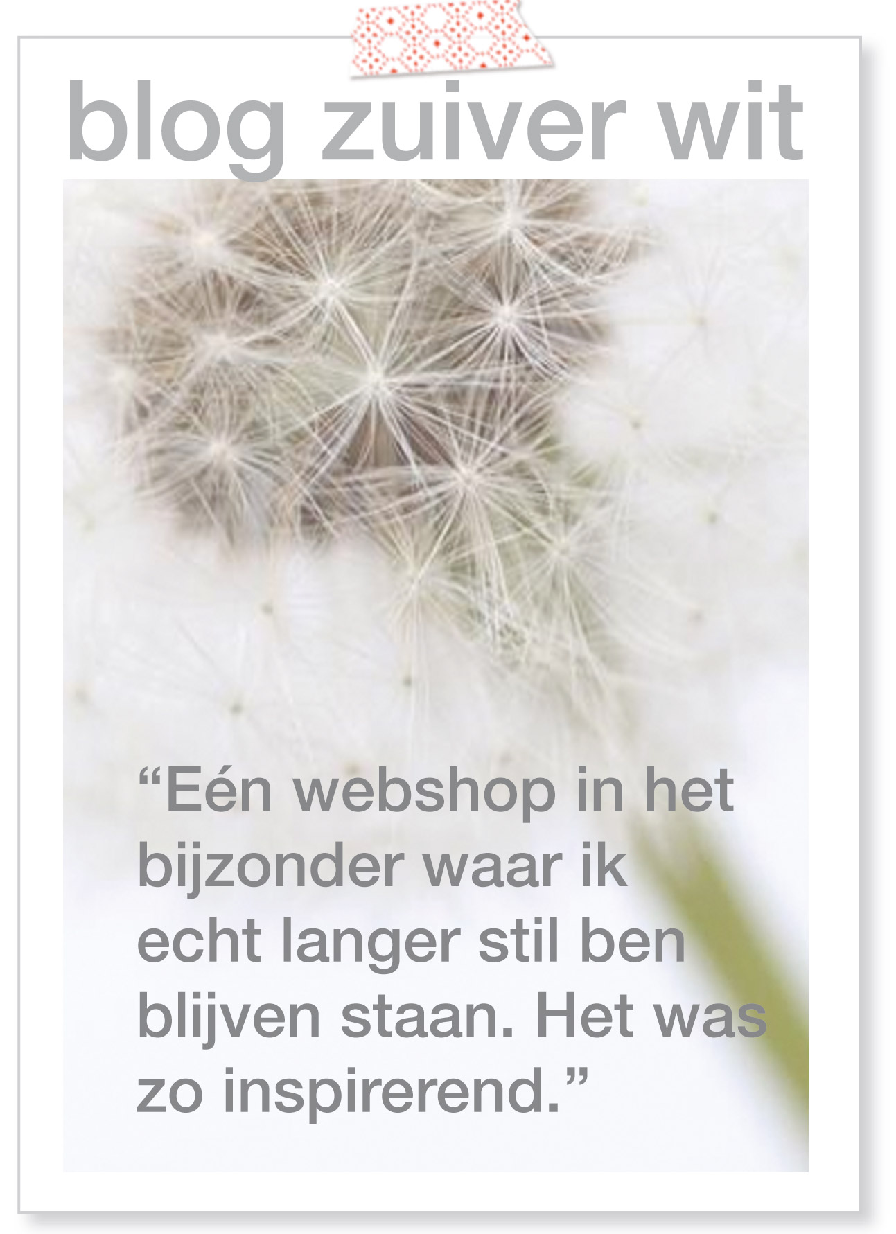 Blog_zuiver_wit.jpg