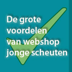 voordelen2.jpg