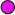 Magenta kleurige sjaal