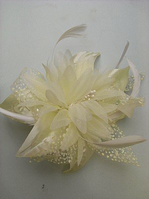 Fascinators.