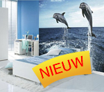 nieuw.jpg