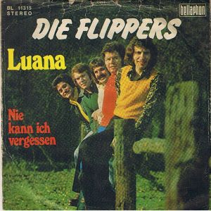 Flippers