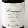Bourgogne Nicolas Potel AOC Bourgogne