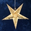 Kerstdecoratie kerstster goud / wit