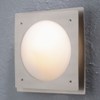 TRENTO 7570 RVS BUITENLAMP
