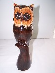 http://myshop.s3-external-3.amazonaws.com/shop1569600.pictures.uil%20klein%20bruin.kl.jpg