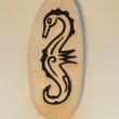 305 Seahorse