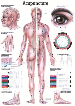 http://myshop.s3-external-3.amazonaws.com/shop1673500.pictures.ch10lam_mi.jpg