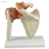 http://myshop.s3-external-3.amazonaws.com/shop1673500.pictures.gm120_kl.jpg