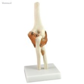 http://myshop.s3-external-3.amazonaws.com/shop1673500.pictures.gm121_kl.jpg