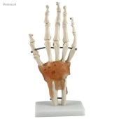 http://myshop.s3-external-3.amazonaws.com/shop1673500.pictures.gm122_kl.jpg