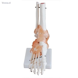 http://myshop.s3-external-3.amazonaws.com/shop1673500.pictures.gm125_mi.jpg