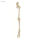http://myshop.s3-external-3.amazonaws.com/shop1673500.pictures.mi240_kl.jpg