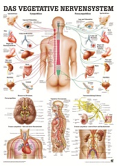 http://myshop.s3-external-3.amazonaws.com/shop1673500.pictures.mipota46_kl.jpg