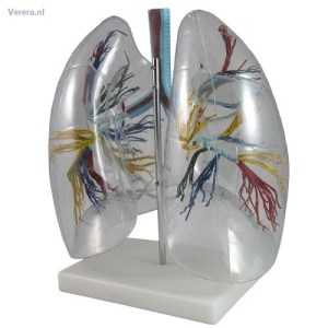 http://myshop.s3-external-3.amazonaws.com/shop1673500.pictures.om411_mi.jpg