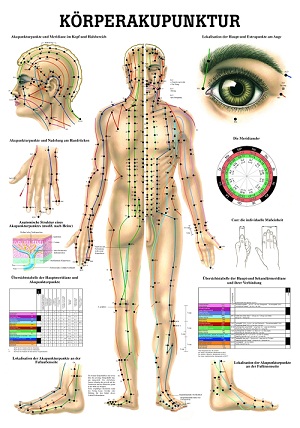 http://myshop.s3-external-3.amazonaws.com/shop1673500.pictures.po10lam_mi.jpg