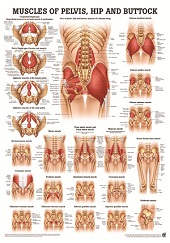 http://myshop.s3-external-3.amazonaws.com/shop1673500.pictures.po53lam_kl.jpg
