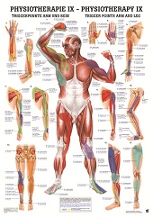 http://myshop.s3-external-3.amazonaws.com/shop1673500.pictures.pophysix_kl.jpg