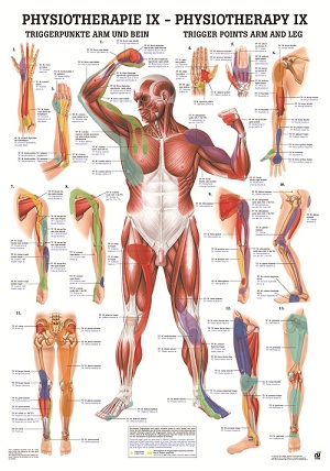 http://myshop.s3-external-3.amazonaws.com/shop1673500.pictures.pophysix_mi.jpg