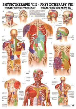 http://myshop.s3-external-3.amazonaws.com/shop1673500.pictures.pophysviii_mi.jpg
