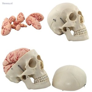 http://myshop.s3-external-3.amazonaws.com/shop1673500.pictures.scm106_mi.jpg