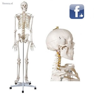 http://myshop.s3-external-3.amazonaws.com/shop1673500.pictures.sm100_mi.jpg
