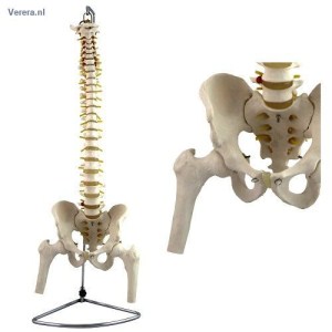 http://myshop.s3-external-3.amazonaws.com/shop1673500.pictures.wm111_mi.jpg