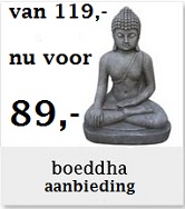 Aanbieding Boeddhabeeld