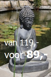 Aanbieding Boeddhabeeld