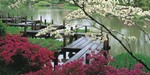 canvas tuin