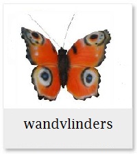 Wandvlinders