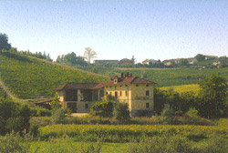 azienda agricola dacapo.jpg