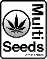Flashy-Multi-Seeds-inv.gif