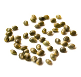 seeds2.jpg