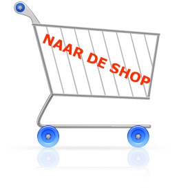 SHOPCAR.jpg