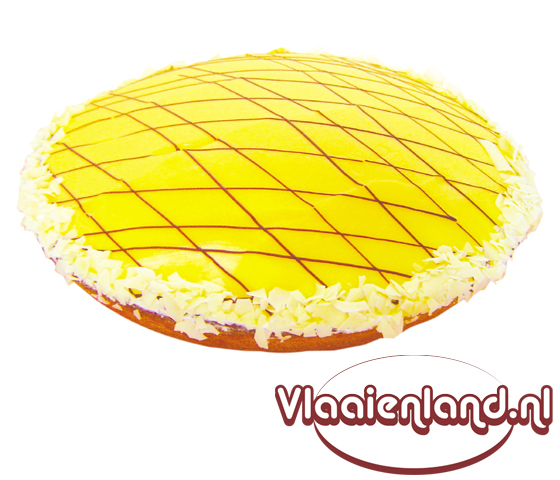 alttekst nog niet aanwezig