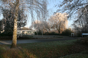 winterpand.jpg