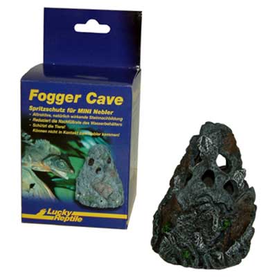 Fogger Cave