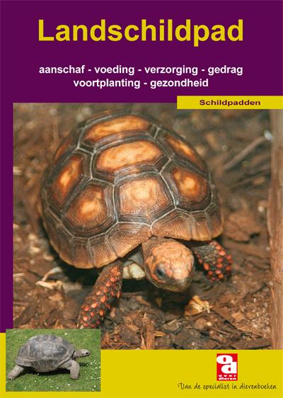 Landschildpad (NL)