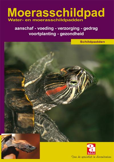 Moerasschildpad (NL)