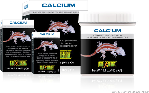 Reptile Calcium
