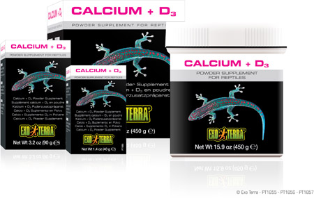 Calcium + Vitamin D3 Sup