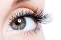 oog