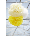pom blanc