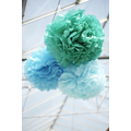 pom blue
